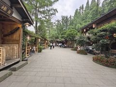 -青城甲(青城山店)