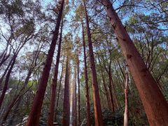 -同里国家湿地公园