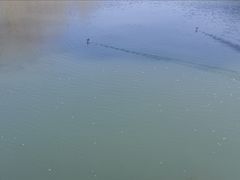 -白河湾生态旅游一条川