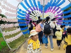 -广东花都香草世界旅游度假区