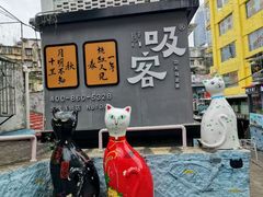-猫咪博物馆(顶澳仔猫街店)