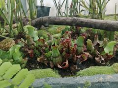 -国家植物园南园