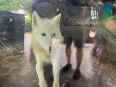 -杭州野生动物世界