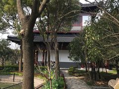 -南汇桃花村