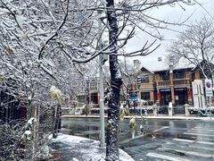 -天津五大道文化旅游区