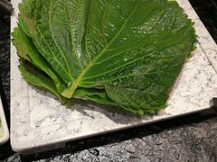 苏子叶-金碗儿私厨(长阳店)