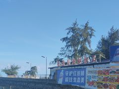 -红树林天天赶海
