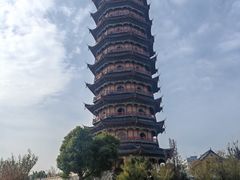 -葛仙湖公园