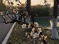 -白塘生态植物园