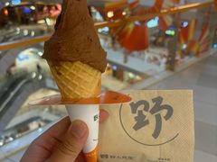 -野人先生现做冰淇淋(北京环宇荟店)
