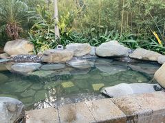 -台山颐和温泉城