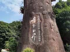 -青青世界