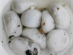 -黄三汤圆