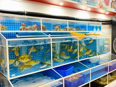 水产区-台山侨雅海鲜粥底火锅(台山侨雅花苑店)