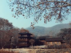 -习家池