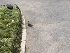 -兰溪青年公园