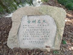 -无锡惠山寺