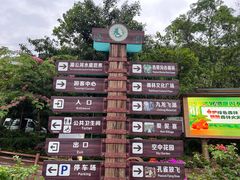 -西双版纳原始森林公园