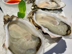 -Oyster Talks 四度蚝法餐厅