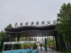 -黄海国家森林公园