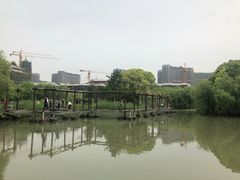 -长兴太湖图影湿地文化园