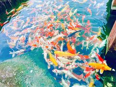 -宁波杭州湾国家湿地公园