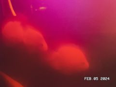 -無名记忆Music Bar夜景怀旧酒吧