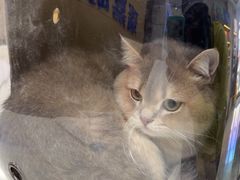 -宠颐生动物医院·心脏科·保险定点(锦阳分院)