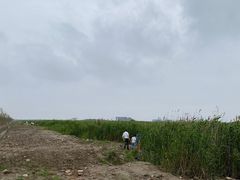 -南汇嘴观海公园