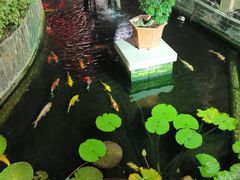 -顺德了能馆(虎门店)