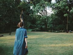 -金花茶公园