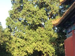 -北京国子监胡同