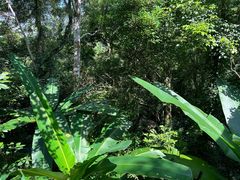 -七仙岭温泉国家森林公园