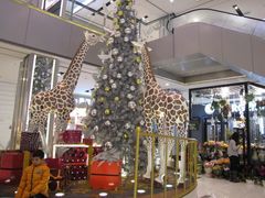 -远洋未来广场(育慧北路店)