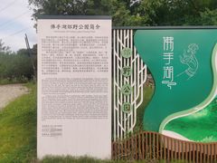 -佛手湖郊野公园