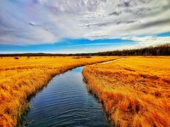 -塞罕坝国家级自然保护区