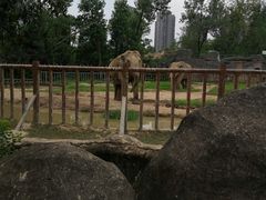 -南昌动物园
