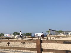 -松声马术俱乐部