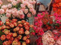 -循礼门鲜花花市(武汉循礼门店)