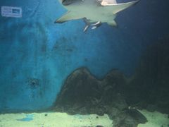 -秦皇岛新澳海底世界