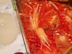 -九鼎轩脆毛肚火锅(三钢里店)
