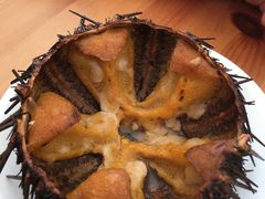 -海胆小馆(东北水饺·春柳店)