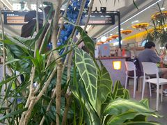 -野人先生Gelato(上海长宁龙之梦店)