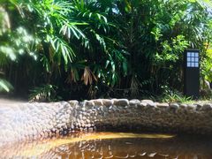 -三亚珠江南田温泉度假区