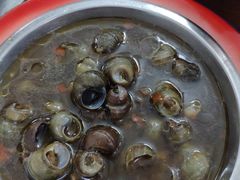 神奇炒螺-万家乐小小饮食店
