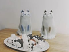 -猫里有甜