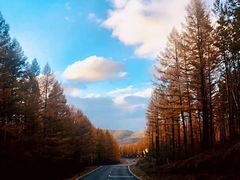 -塞罕坝国家级自然保护区