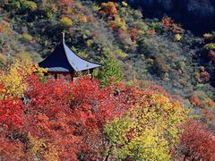 -周口店坡峰岭风景区