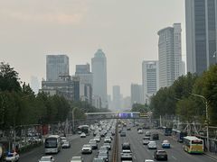 -循礼门鲜花花市(武汉循礼门店)