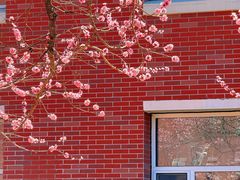 -吉林大学(南岭校区)